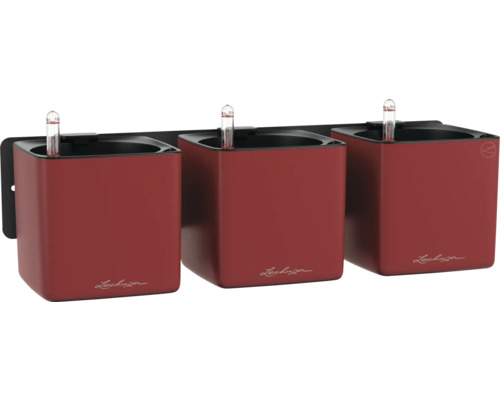 Drei rote Lechuza Cube Pflanzgefäße mit Bewässerungssystem an einer schwarzen Wandhalterung.