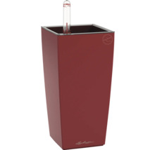 Rechteckiger Lechuza Pflanzkübel mit Wasserstandsanzeiger