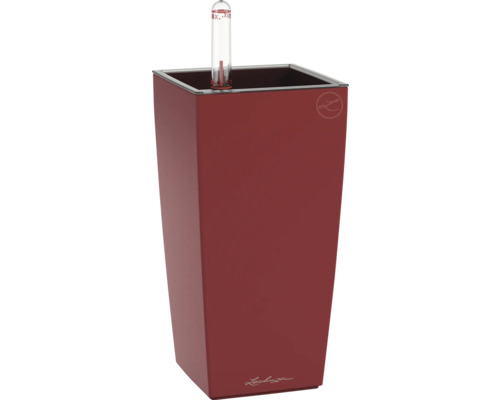 Rechteckiger Lechuza Pflanzkübel mit Wasserstandsanzeiger