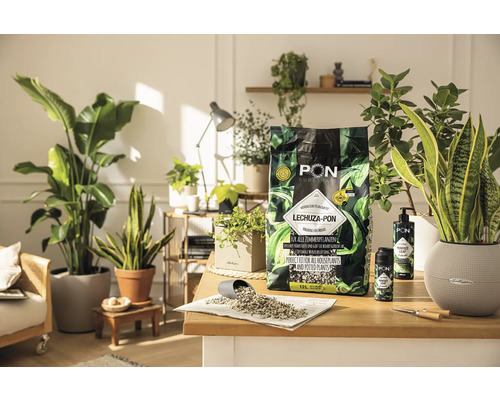 LECHUZA-PON Pflanzsubstrat für Zimmerpflanzen auf einem Tisch mit Zimmerpflanzen