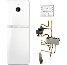 Gasheizung mit Regler, Heizkreispumpe und Montagezubehör