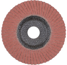 Schleifmopteller für Winkelschleifer