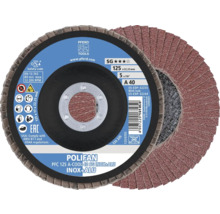 Pferd Polifan Schleifscheibe Durchmesser 125 mm