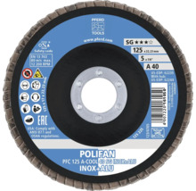 PFERD Polifan Schleifscheibe 125 Millimeter Durchmesser