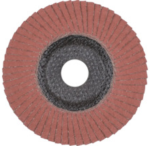 Schleifmopteller für Winkelschleifer