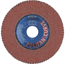 Polifan Curve Schleifmopteller