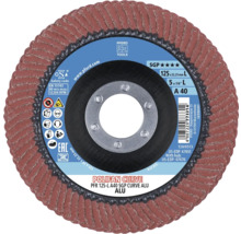 Pferd Polifan Curve Lamellenschleifscheibe 125 Millimeter