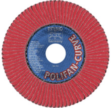 Pferd Polifan Curve Fächerscheibe