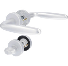 Türbeschlag-Garnitur mit Türgriff und Rosetten