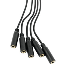Audio-Verteilerkabel mit fünf 3,5 Millimeter Klinkenbuchsen.