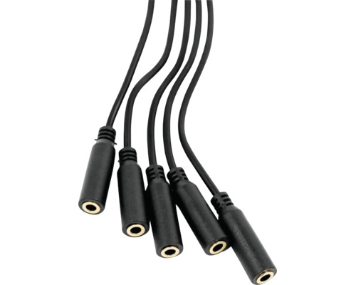 Audio-Verteilerkabel mit fünf 3,5 Millimeter Klinkenbuchsen.
