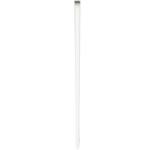 Schmale Glasvase