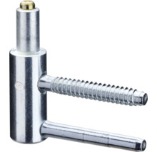 Einschlagband aus Metall mit Schraubstift