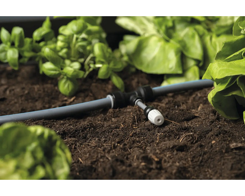 Bewässerungssystem im Beet mit Gemüse und Kräutern