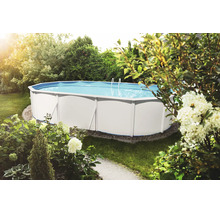 Ovaler Stahlwandpool in einem sonnigen Garten, umgeben von grünen Sträuchern und weißen Hortensien, mit integrierter Leiter.