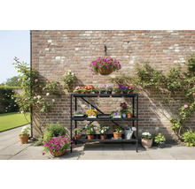 Blumenregal mit drei Ebenen vor einer Ziegelmauer mit Rosenpflanzen und Blumenarrangements.