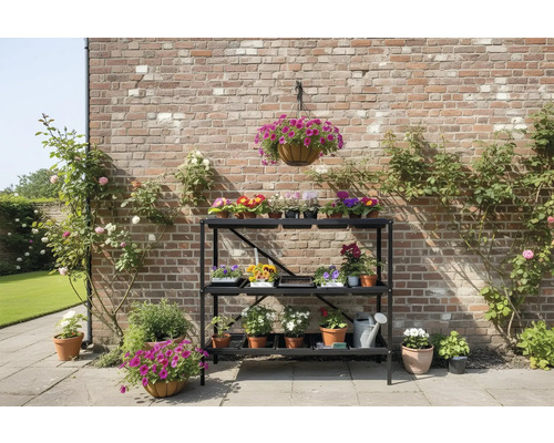 Blumenregal mit drei Ebenen vor einer Ziegelmauer mit Rosenpflanzen und Blumenarrangements.