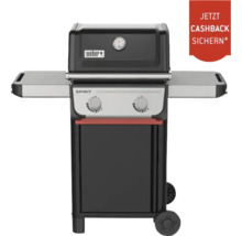 Weber Spirit Gasgrill mit zwei Brennern und Warmhalterost