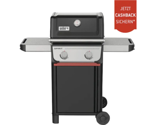 Gasgrill Weber Spirit E-210 schwarz 2 Brenner Weber Spirit Gasgrill mit zwei Brennern und Warmhalterost
