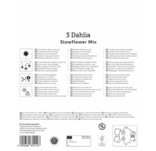 Verpackung für 5 Dahlien Slowflower Mix mit Pflanzanweisungen und Logos