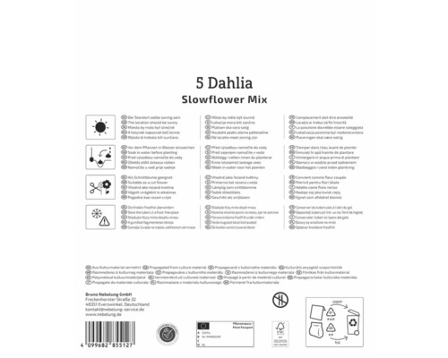Verpackung für 5 Dahlien Slowflower Mix mit Pflanzanweisungen und Logos