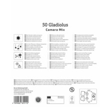 Verpackung Gladiolus Camara Mix mit Pflanzanweisungen und Logos