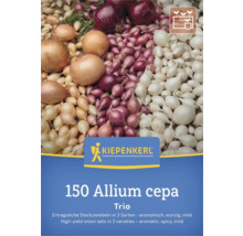 Allium cepa Zwiebel Trio, 150 Stück