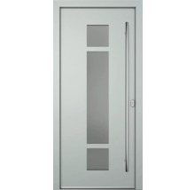 Haustür mit Glaseinsatz und Stangengriff