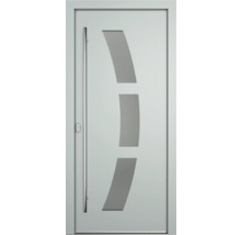 Moderne Haustür mit Edelstahlgriff und Glasausschnitten