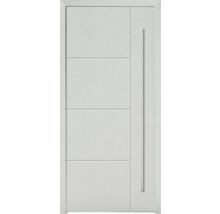 Moderne Haustür mit vertikalem Griff