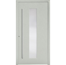 Moderne Haustür mit Glaseinsatz und geradem Griff