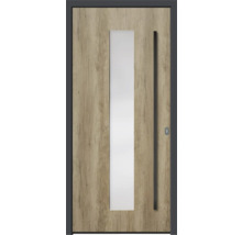 Haustür mit Glaseinsatz und Holzoptik