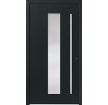 Haustür mit Glaseinsatz und Griffstange