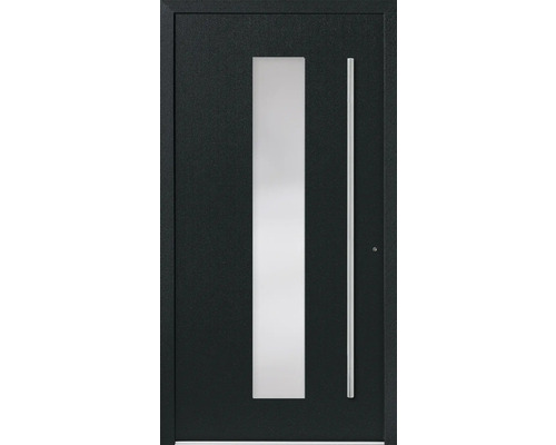 Haustür mit Glaseinsatz und Griffstange