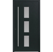 Haustür mit drei Glaseinsätzen und Stangengriff