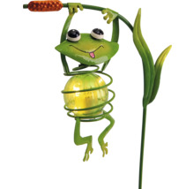 Solar-Gartenstecker aus Metall in Form eines Frosches an einem Rohrkolben mit einem Bauch aus einer leuchtenden Glaskugel.