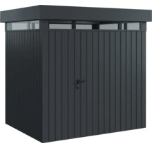 Geräteschrank mit Tür, Oberlicht und Griff