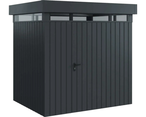 Geräteschrank mit Tür, Oberlicht und Griff