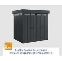 EcoStar Euroline Gerätehaus mit Tür und Oberlicht