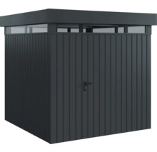 Geräteschuppen mit Tür und Oberlicht