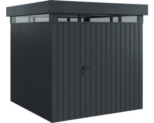 Geräteschuppen mit Tür und Oberlicht