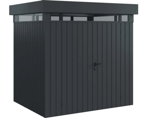 Metall Gerätehaus mit Tür und Oberlicht