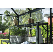 Detailansicht eines Gewächshausregals mit Dekoration und Pflanzen