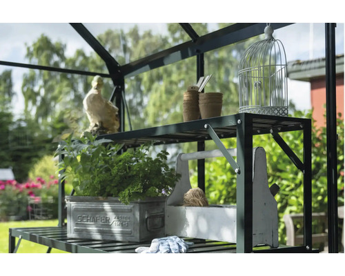 Detailansicht eines Gewächshausregals mit Dekoration und Pflanzen