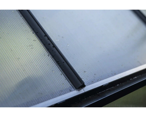 Nahaufnahme einer transparenten Polycarbonatplatte mit schwarzen Profilen