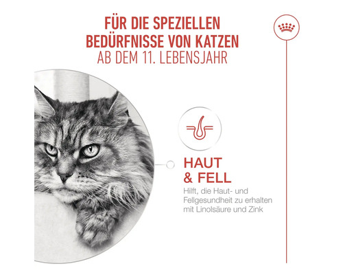 Katze ab dem elften Lebensjahr für spezielle Bedürfnisse