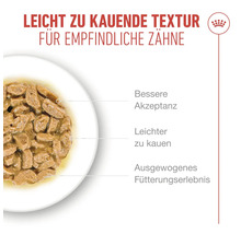 Nassfutter mit weicher Textur für Katzen mit empfindlichen Zähnen in einer Schale