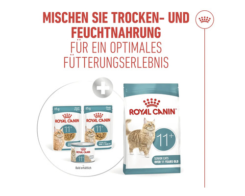 Royal Canin Katzenfutter für ältere Katzen über 11 Jahre als Trocken- und Feuchtfutter