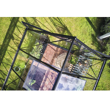 Draufsicht eines Gewächshauses mit Pflanzen und Gartenmöbeln