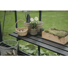 Nahaufnahme eines Gewächshaustisches mit Korb, Pflanze und Pflanzgefäßen